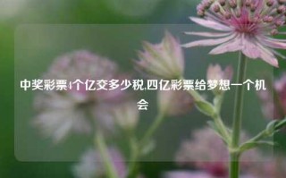 中奖彩票4个亿交多少税,四亿彩票给梦想一个机会