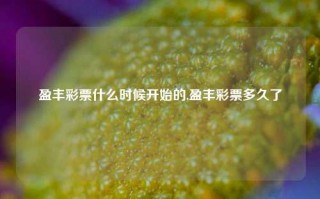 盈丰彩票什么时候开始的,盈丰彩票多久了