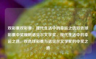 双彩票双彩票，现代生活中的幸运之选双色球彩票中奖规则诺贝尔文学奖，现代生活中的幸运之选，双色球彩票与诺贝尔文学奖的中奖之道，双色球彩票与诺贝尔文学奖，现代生活中的幸运之选与中奖之道