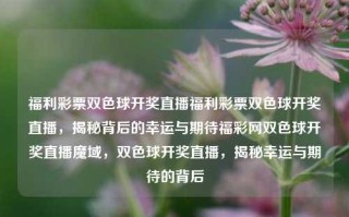 福利彩票双色球开奖直播福利彩票双色球开奖直播，揭秘背后的幸运与期待福彩网双色球开奖直播魔域，双色球开奖直播，揭秘幸运与期待的背后，双色球开奖直播，揭秘幸运与期待的背后之旅