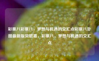 彩票八彩票八，梦想与机遇的交汇点彩票八卦图最新版贝碧嘉，彩票八，梦想与机遇的交汇点，彩票八，梦想与机遇的交汇点