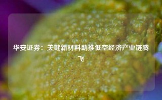 华安证券：关键新材料助推低空经济产业链腾飞