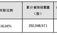 大股东持股遭八次轮候冻结，岭南股份流动性危机何解