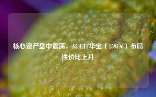 核心资产盘中震荡，A50ETF华宝（159596）布局性价比上升