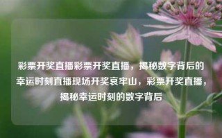 彩票开奖直播彩票开奖直播，揭秘数字背后的幸运时刻直播现场开奖哀牢山，彩票开奖直播，揭秘幸运时刻的数字背后，彩票开奖直播，揭秘数字背后的幸运时刻直播现场直播体验