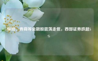 保险、券商等金融股震荡走低，西部证券跌超5%