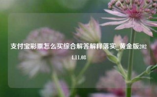 支付宝彩票怎么买综合解答解释落实_黄金版2024.11.08