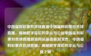 中国福利彩票双色球直播中国福利彩票双色球直播，揭秘数字背后的幸运与公益中国福利彩票双色球直播新浪网站最新版刘文杰，中国福利彩票双色球直播，揭秘数字背后的幸运与公益之旅，中国福利彩票双色球直播，揭秘数字背后的幸运与公益之旅