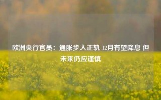 欧洲央行官员：通胀步入正轨 12月有望降息 但未来仍应谨慎