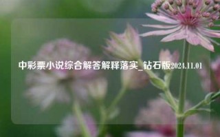 中彩票小说综合解答解释落实_钻石版2024.11.01