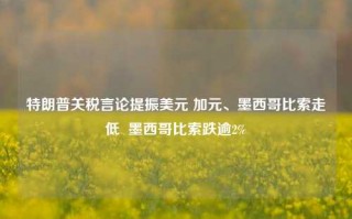 特朗普关税言论提振美元 加元、墨西哥比索走低  墨西哥比索跌逾2%