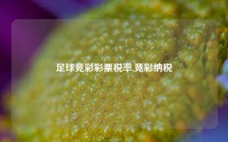 足球竞彩彩票税率,竞彩纳税