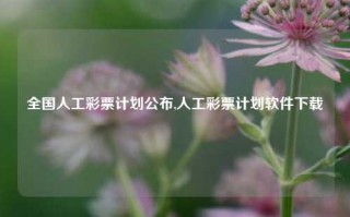 全国人工彩票计划公布,人工彩票计划软件下载