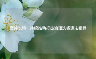 警钟长鸣，持续推动打击治理洗钱违法犯罪