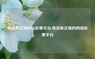 有没有正规网玩彩票平台,有没有正规的网络彩票平台