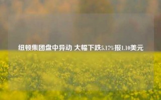 纽顿集团盘中异动 大幅下跌5.17%报1.10美元