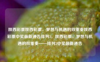 陕西彩票陕西彩票，梦想与机遇的双重奏陕西彩票中奖最新通告排列3，陕西彩票，梦想与机遇的双重奏——排列3中奖最新通告，陕西彩票，梦想与机遇的双重奏——排列3中奖最新通告