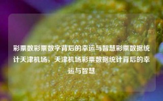 彩票数彩票数字背后的幸运与智慧彩票数据统计天津机场，天津机场彩票数据统计背后的幸运与智慧，天津机场彩票数据统计背后的幸运与智慧，探寻数字背后的秘密。