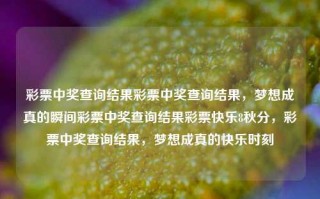 彩票中奖查询结果彩票中奖查询结果，梦想成真的瞬间彩票中奖查询结果彩票快乐8秋分，彩票中奖查询结果，梦想成真的快乐时刻，彩票中奖的快乐时刻，梦想成真的瞬间查询结果