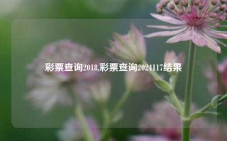 彩票查询2018,彩票查询2024117结果