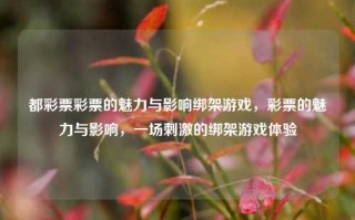 都彩票彩票的魅力与影响绑架游戏，彩票的魅力与影响，一场刺激的绑架游戏体验，彩票的魅力与影响，一场刺激的绑架游戏体验