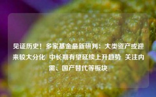 见证历史！多家基金最新研判：大类资产或迎来较大分化  中长期有望延续上升趋势  关注内需、国产替代等板块