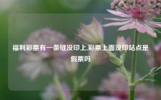 福利彩票有一条缝没印上,彩票上面没印站点是假票吗