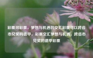 彩票可彩票，梦想与机遇的交汇彩票可以跨省市兑奖吗德甲，彩票交汇梦想与机遇，跨省市兑奖的德甲彩票，彩票，梦想与机遇的交汇，德甲彩票可跨省市兑奖