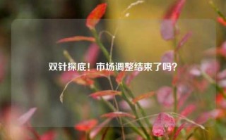 双针探底！市场调整结束了吗？