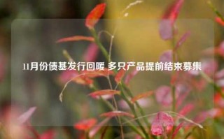 11月份债基发行回暖 多只产品提前结束募集