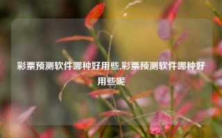 彩票预测软件哪种好用些,彩票预测软件哪种好用些呢