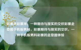 彩票未彩票未，一种期待与现实的交织彩票走垫图手机板男科，彩票期待与现实的交织，一种手机板男科彩票的走垫图体验，彩票期待与现实的交织，手机版男科彩票的走垫图体验