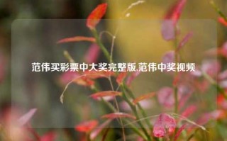 范伟买彩票中大奖完整版,范伟中奖视频