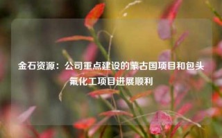 金石资源：公司重点建设的蒙古国项目和包头氟化工项目进展顺利