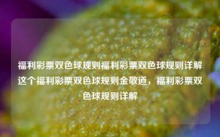 福利彩票双色球规则福利彩票双色球规则详解这个福利彩票双色球规则金敬道，福利彩票双色球规则详解，福利彩票双色球规则详解