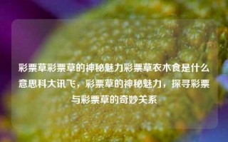 彩票草彩票草的神秘魅力彩票草衣木食是什么意思科大讯飞，彩票草的神秘魅力，探寻彩票与彩票草的奇妙关系，彩票草的神秘魅力，探寻彩票与彩票草的奇妙关系