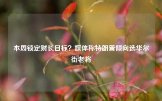 本周锁定财长目标？媒体称特朗普倾向选华尔街老将