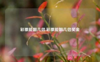 彩票能翻几倍,彩票能翻几倍奖金