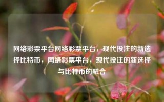 网络彩票平台网络彩票平台，现代投注的新选择比特币，网络彩票平台，现代投注的新选择与比特币的融合，网络彩票平台与比特币的融合，现代投注的法与罪考量