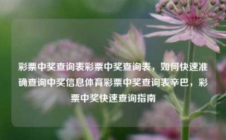 彩票中奖查询表彩票中奖查询表，如何快速准确查询中奖信息体育彩票中奖查询表辛巴，彩票中奖快速查询指南，彩票中奖快速查询指南，如何准确获取中奖信息