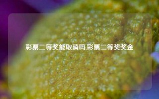 彩票二等奖能取消吗,彩票二等奖奖金