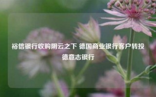 裕信银行收购阴云之下 德国商业银行客户转投德意志银行