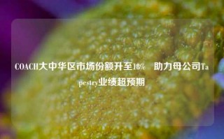 COACH大中华区市场份额升至18%   助力母公司Tapestry业绩超预期