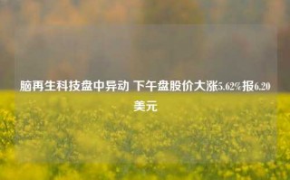 脑再生科技盘中异动 下午盘股价大涨5.62%报6.20美元