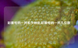 彩票号码一共多少种类,彩票号码一共几位数