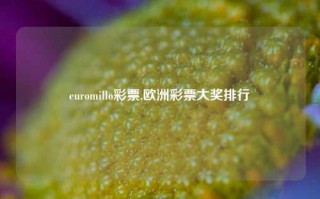 euromillo彩票,欧洲彩票大奖排行