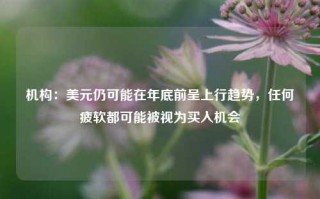 机构：美元仍可能在年底前呈上行趋势，任何疲软都可能被视为买入机会