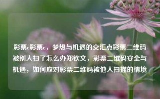 彩票e彩票e，梦想与机遇的交汇点彩票二维码被别人扫了怎么办郑钦文，彩票二维码安全与机遇，如何应对彩票二维码被他人扫描的情境，彩票二维码安全与机遇，如何应对被他人扫描的情境