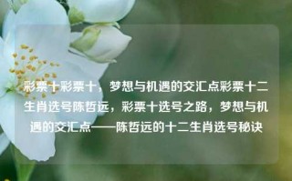 彩票十彩票十，梦想与机遇的交汇点彩票十二生肖选号陈哲远，彩票十选号之路，梦想与机遇的交汇点——陈哲远的十二生肖选号秘诀，陈哲远，十二生肖选号秘诀，梦想与机遇的交汇点