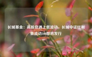 长城基金：高股息遇上低波动，长城中证红利低波动100即将发行